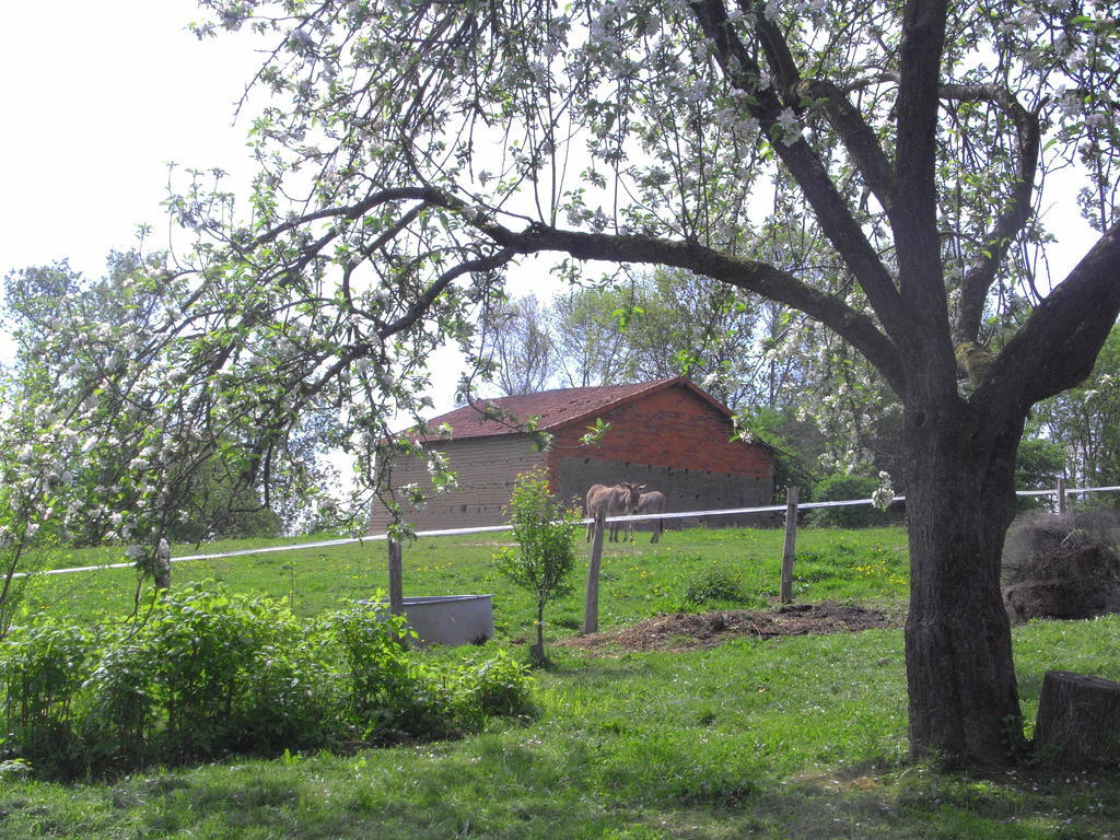 Bed and Breakfast Fenetre Sur Loire Iguerande Zewnętrze zdjęcie